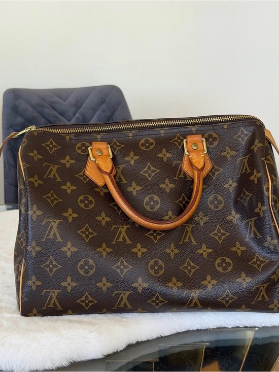 Louis Vuitton Handbags - Louis Vuitton Speedy 30 Tote Bag  AUTHENTIC